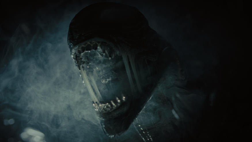 Xenomorph in 20th Century Studios' ALIEN: ROMULUS. Photo courtesy of 20th Century Studios. © 2024 20th Century Studios. All Rights Reserved.